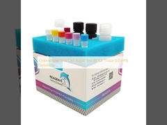 Chloramphenicol CAP Rapid Test Kit voor weefsel 0.05PPB Gevoeligheid